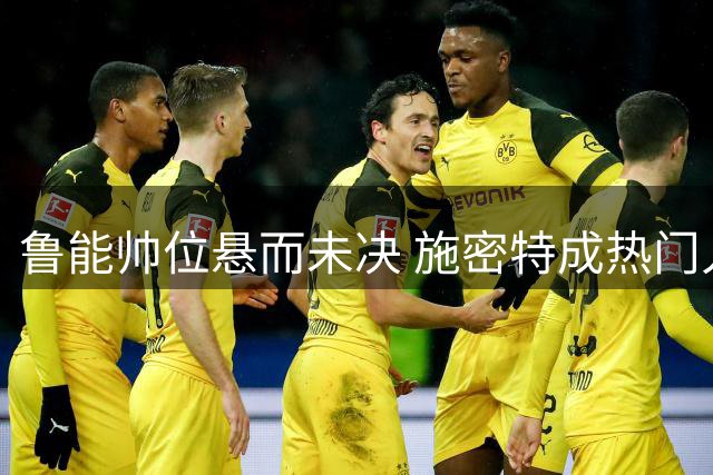 鲁能帅位悬而未决 施密特成热门人选